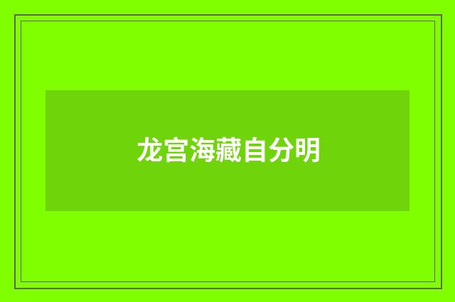 龙宫海藏自分明