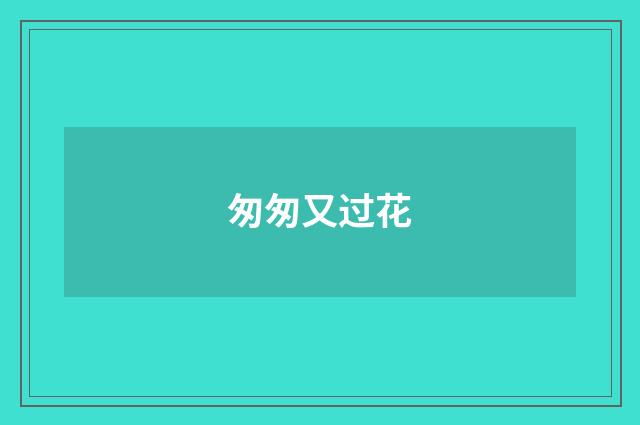匆匆又过花