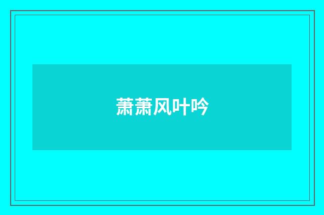 萧萧风叶吟