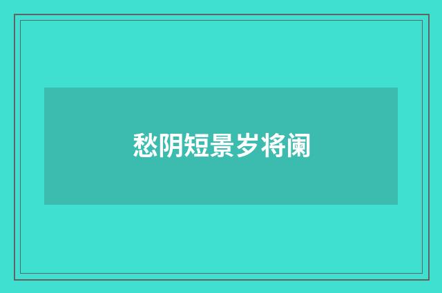 愁阴短景岁将阑