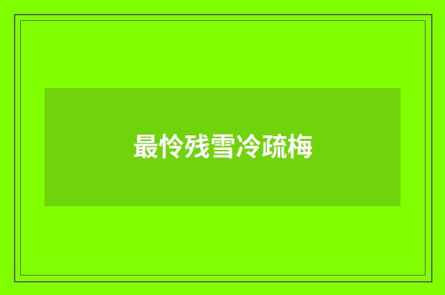 最怜残雪冷疏梅
