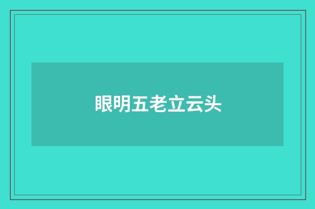 眼明五老立云头