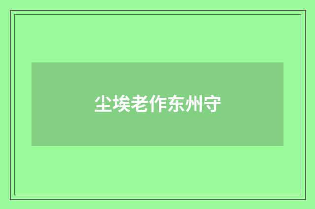 尘埃老作东州守