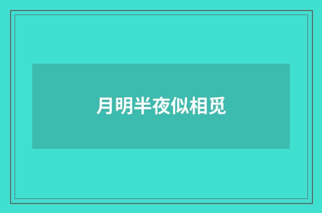 月明半夜似相觅