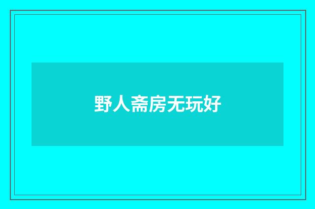 野人斋房无玩好