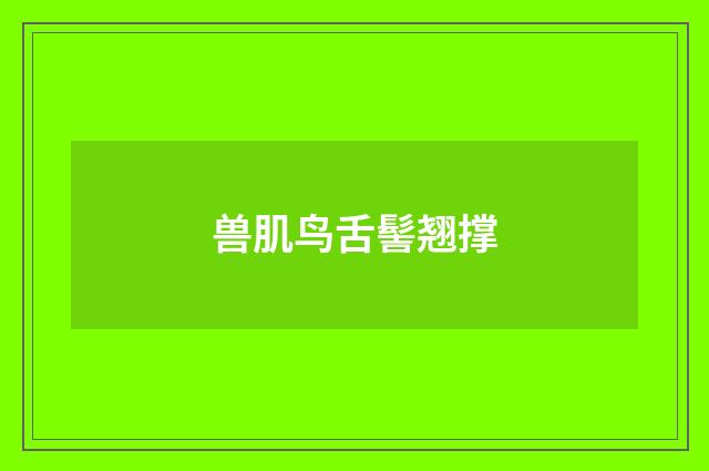 兽肌鸟舌髻翘撑