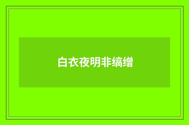 白衣夜明非缟缯