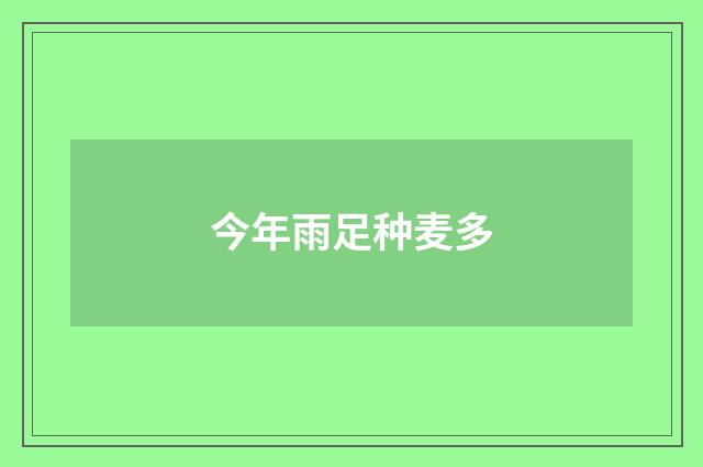 今年雨足种麦多