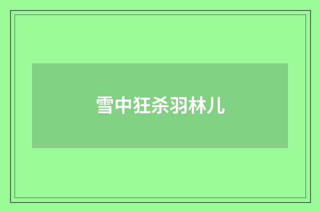 雪中狂杀羽林儿