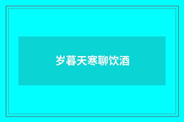 岁暮天寒聊饮酒