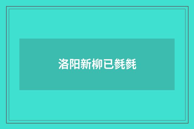 洛阳新柳已毵毵