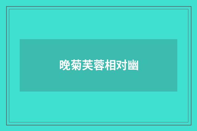 晚菊芙蓉相对幽