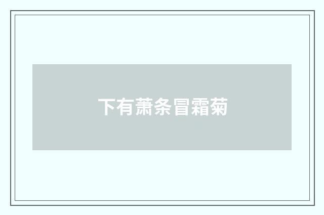 下有萧条冒霜菊