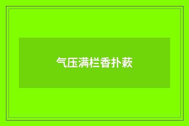 气压满栏香扑蔌
