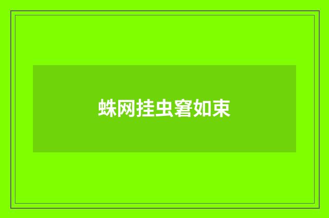 蛛网挂虫窘如束