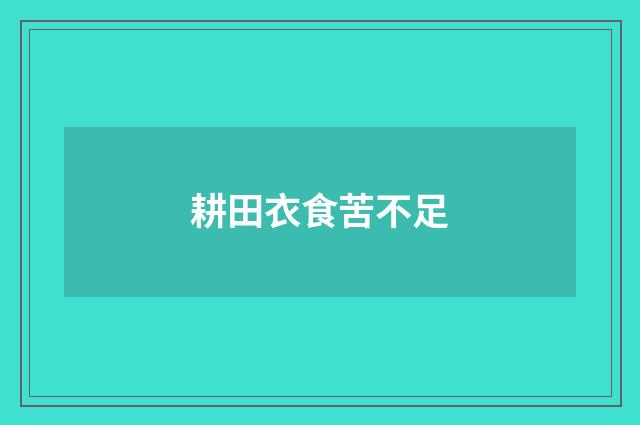 耕田衣食苦不足