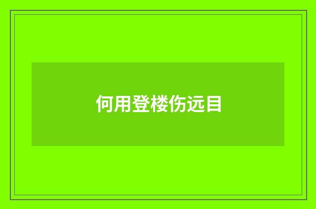 何用登楼伤远目