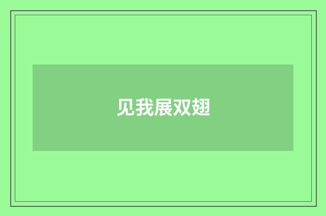 见我展双翅