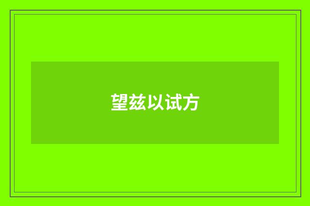 望兹以试方