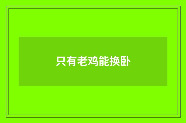 只有老鸡能换卧