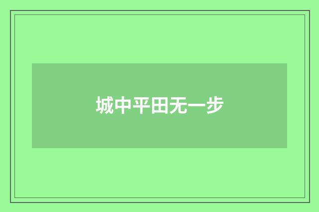 城中平田无一步