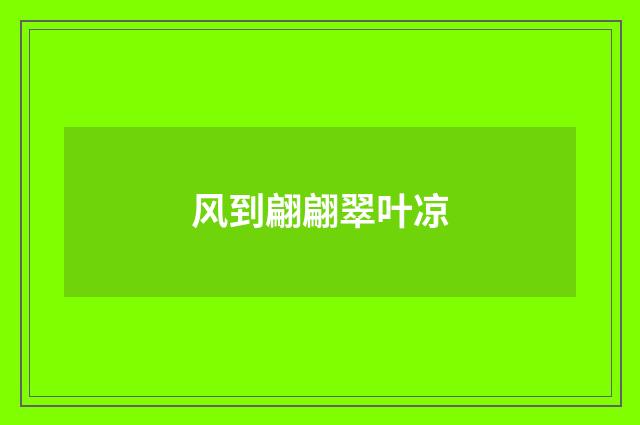 风到翩翩翠叶凉