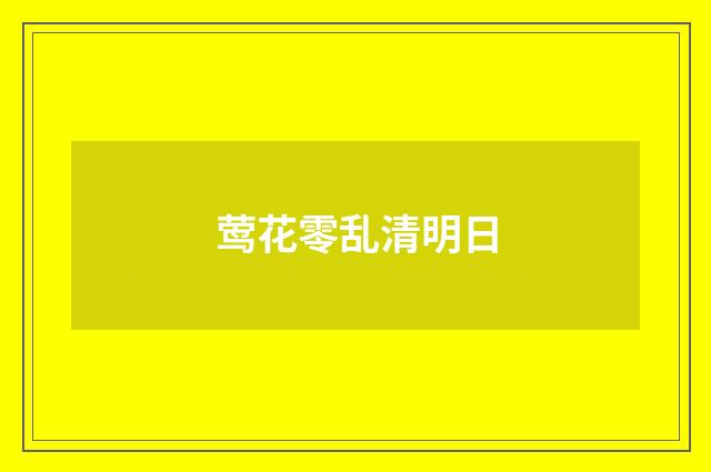 莺花零乱清明日