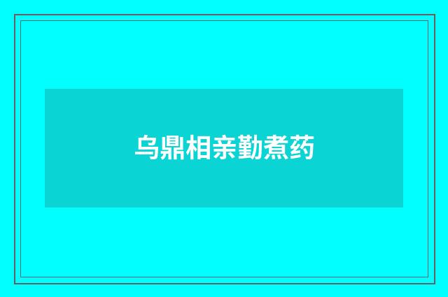 乌鼎相亲勤煮药