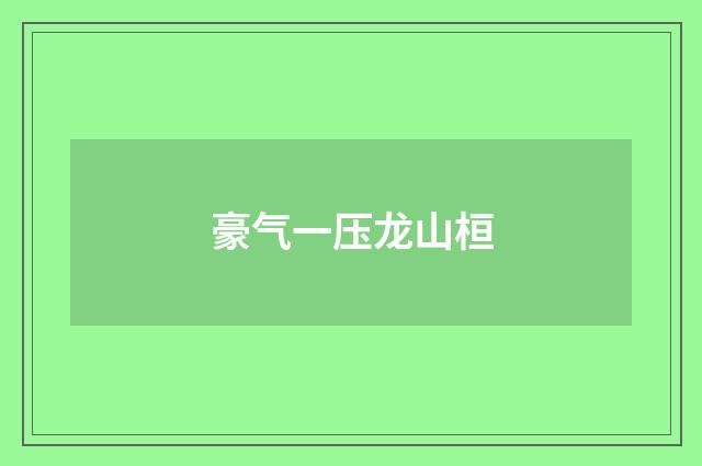 豪气一压龙山桓