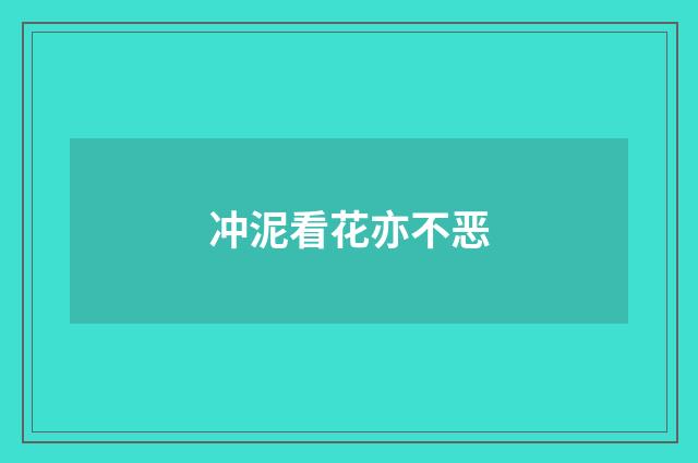 冲泥看花亦不恶
