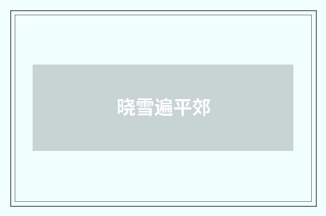 晓雪遍平郊