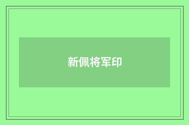 新佩将军印