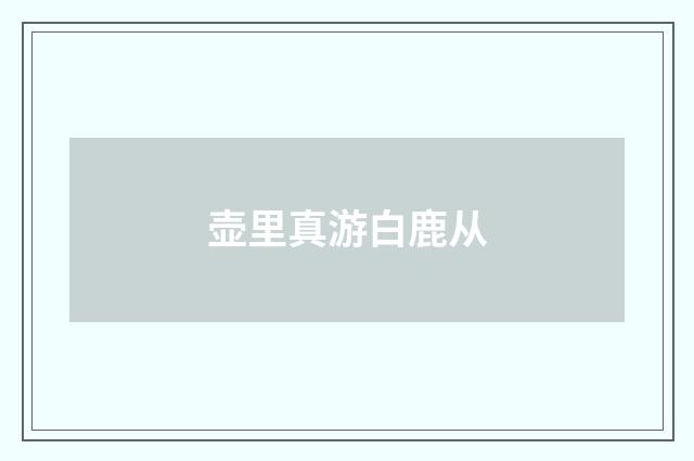壶里真游白鹿从