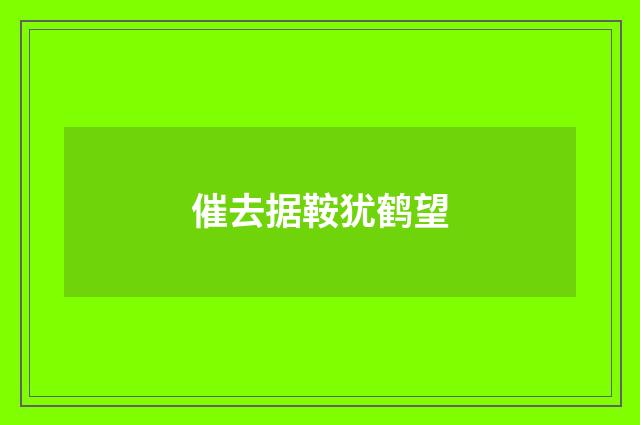 催去据鞍犹鹤望