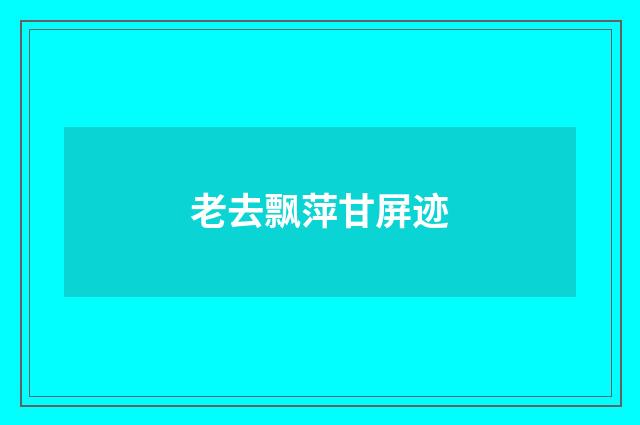 老去飘萍甘屏迹