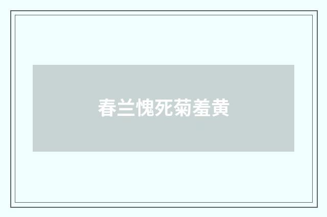 春兰愧死菊羞黄