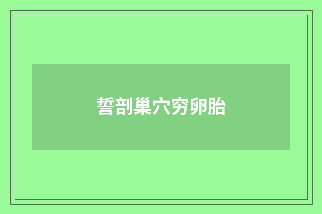 誓剖巢穴穷卵胎