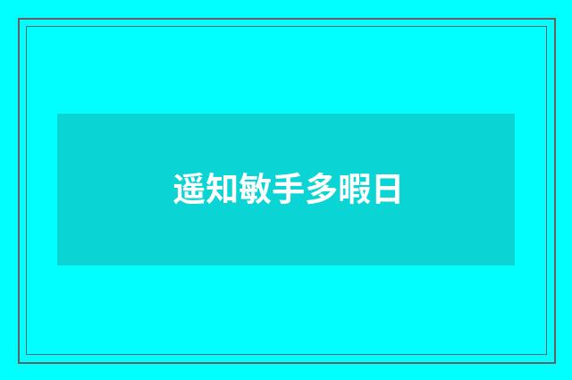 遥知敏手多暇日