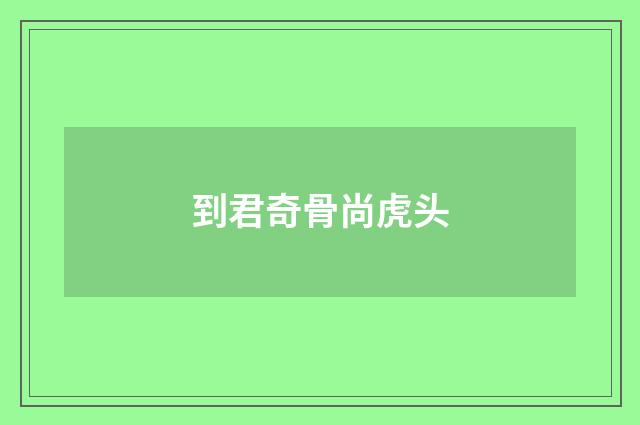 到君奇骨尚虎头