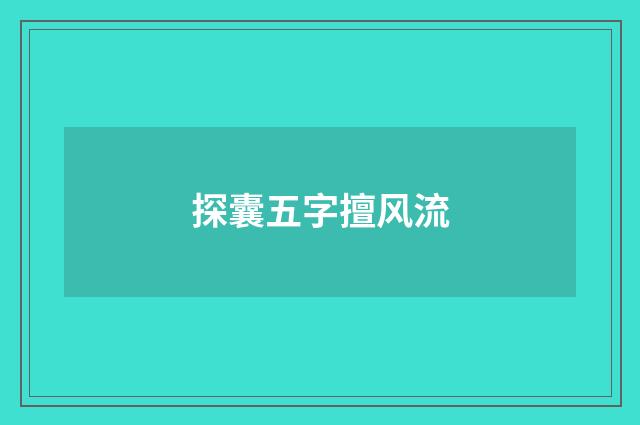 探囊五字擅风流