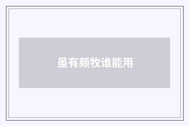 虽有颇牧谁能用