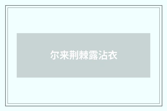 尔来荆棘露沾衣