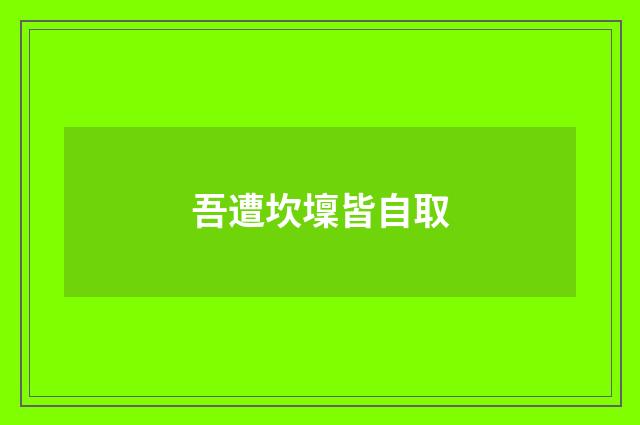 吾遭坎壈皆自取