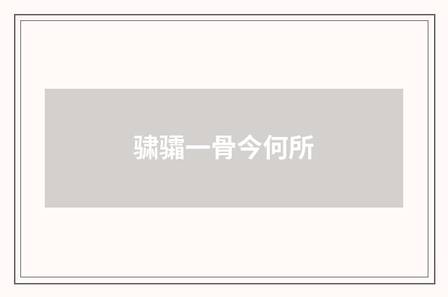 骕骦一骨今何所