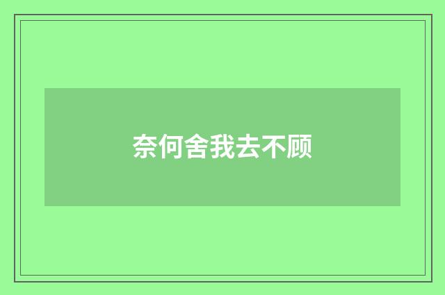 奈何舍我去不顾