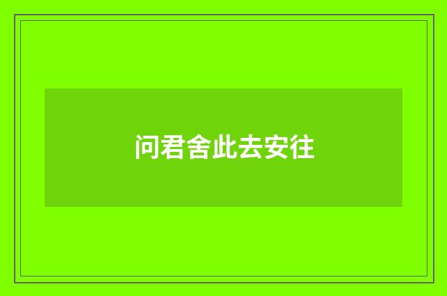 问君舍此去安往