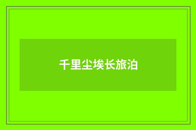 千里尘埃长旅泊