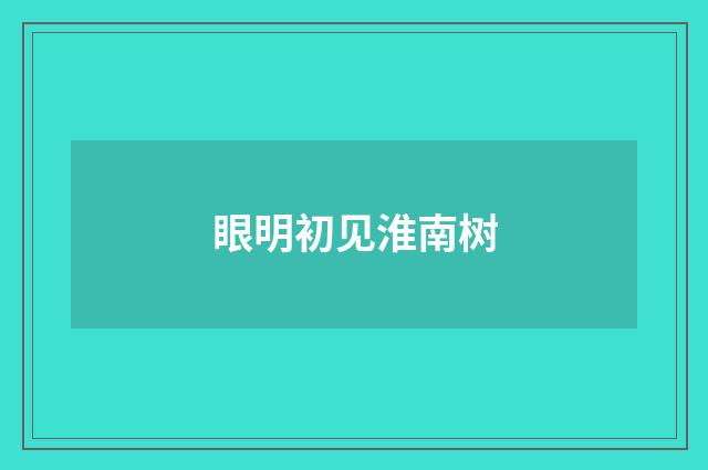 眼明初见淮南树