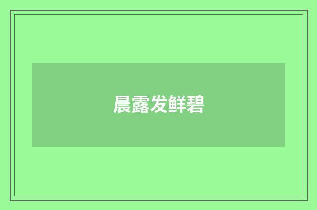 晨露发鲜碧
