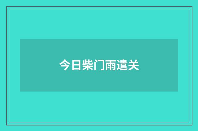 今日柴门雨遣关